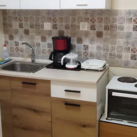 Irina Διαμέρισμα Apartment Palioura Exterior photo